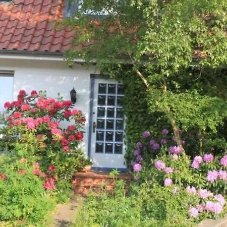 Amselstieg Dr Meier