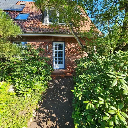 Amselstieg Dr Meier